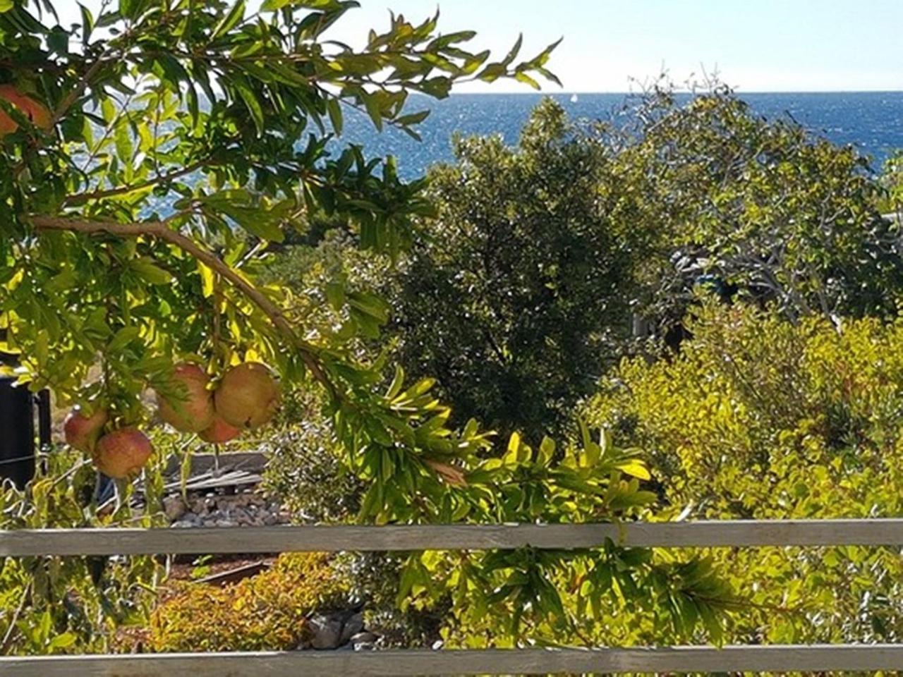 Modern Apartment In Primo Ten Burnji With Private Terrace Dolac Esterno foto